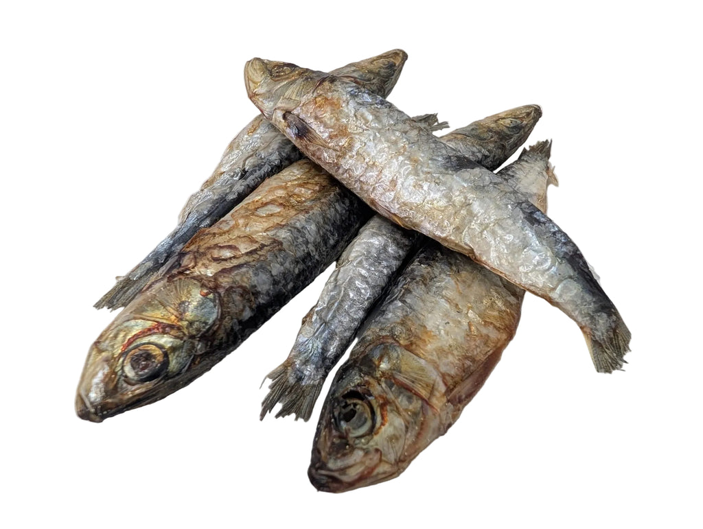 Sardine Snacks