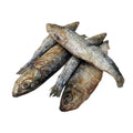 Sardine Snacks