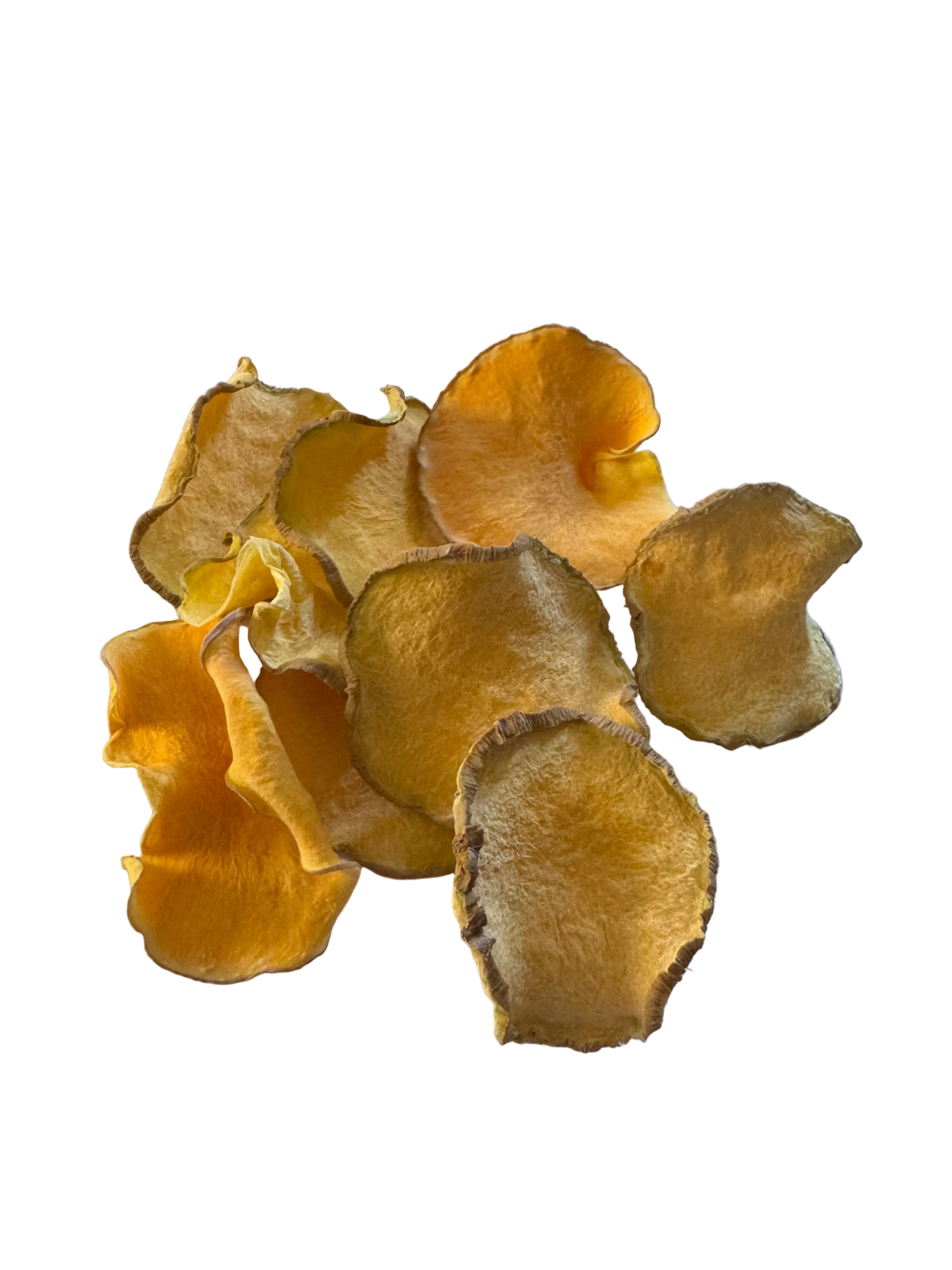 Squash Chips