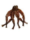 Frog Legs