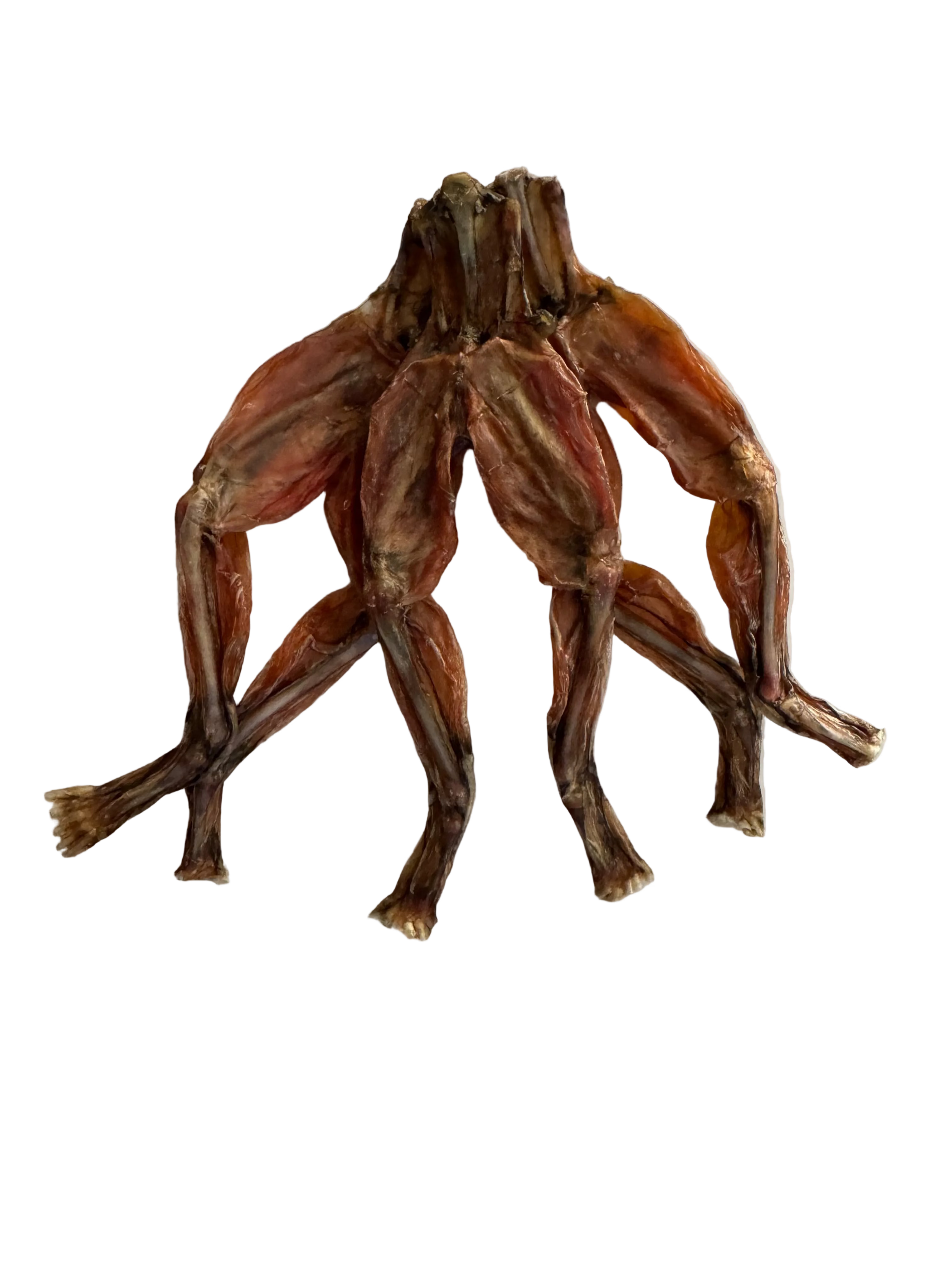 Frog Legs